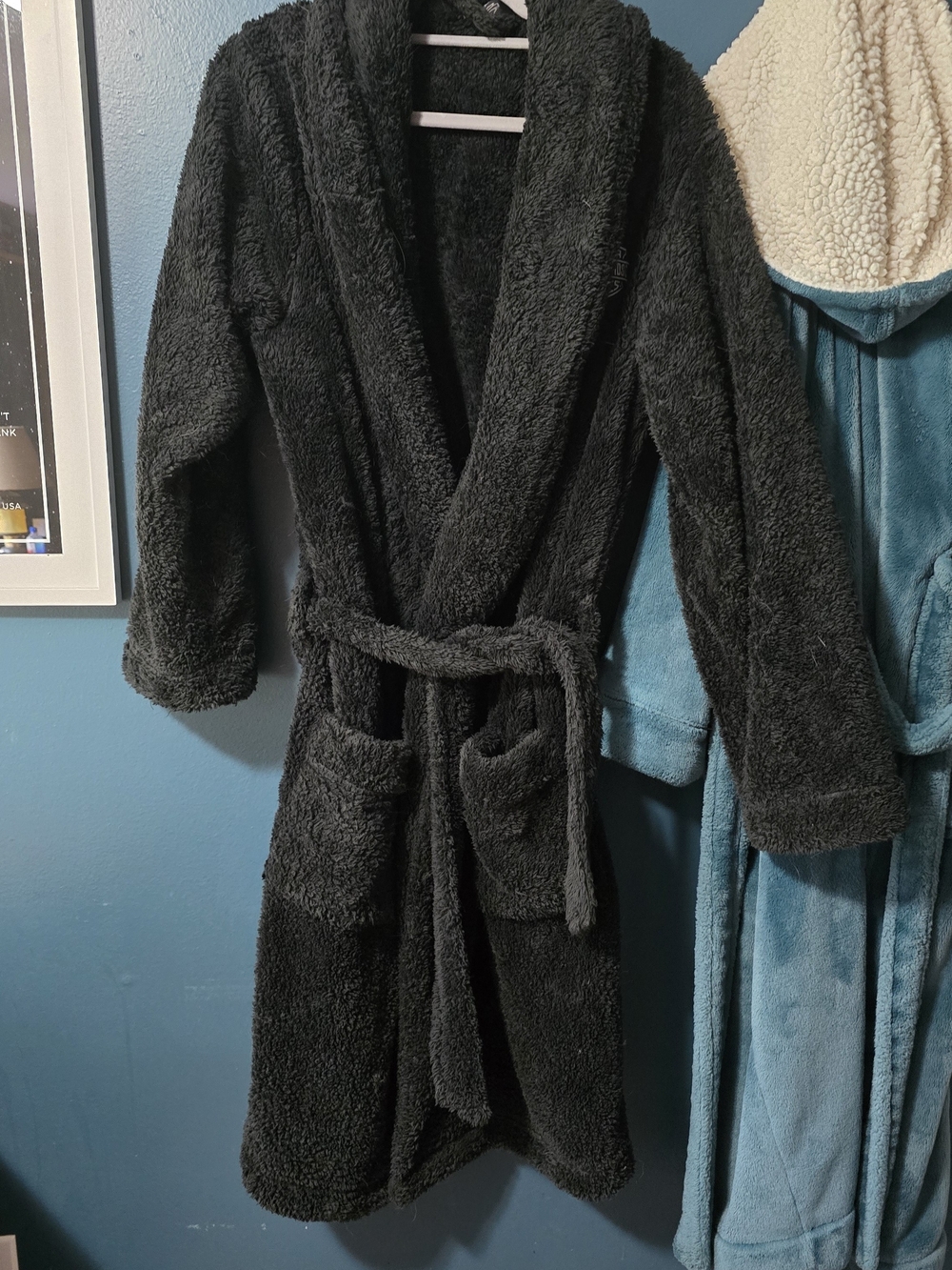 Harley-Davidson Black Plush Logo Robe